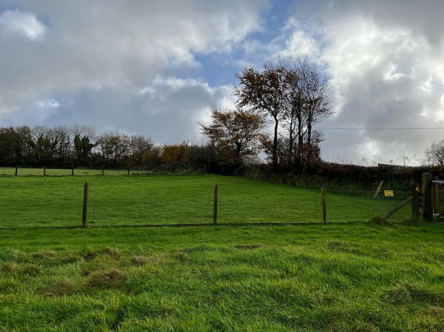 Woodland View At Hewish Mill Villa Bittadon Eksteriør bilde
